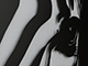 Grzejniki dekoracyjne Art Radiators #18